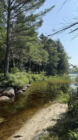 Lot #1 Bucksport Road Ellsworth ME 04605