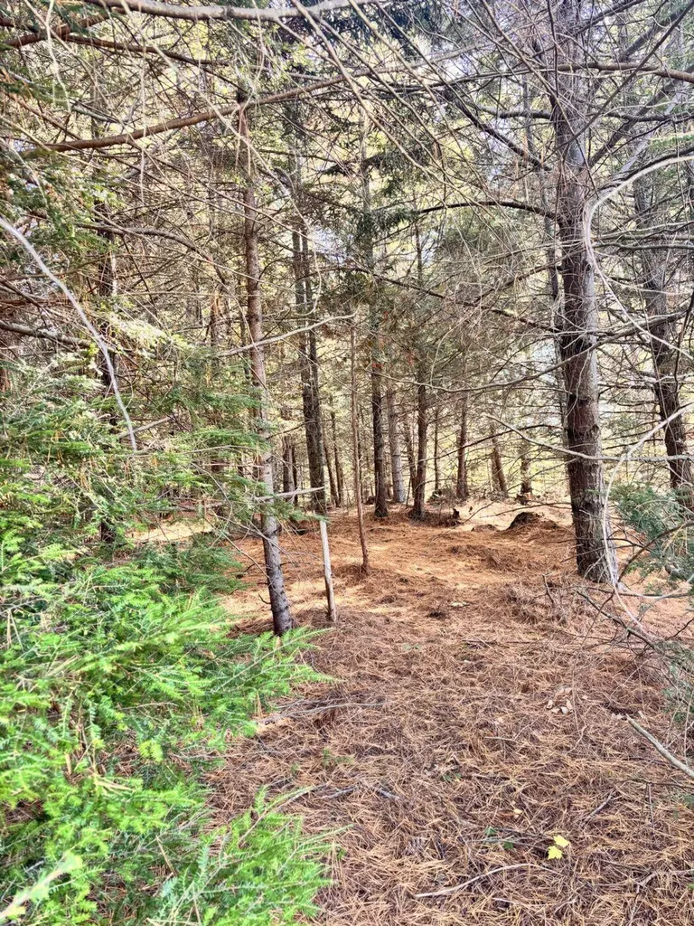 150 Bowden Point Road Prospect ME 04981