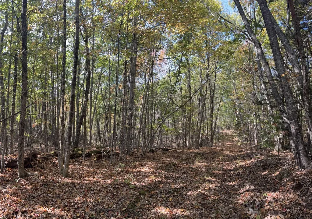 150 Bowden Point Road Prospect ME 04981
