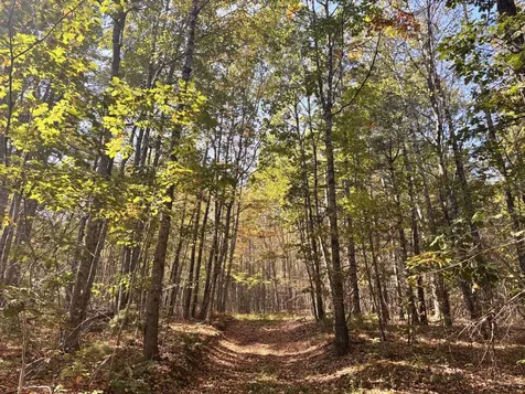 150 Bowden Point Road Prospect ME 04981