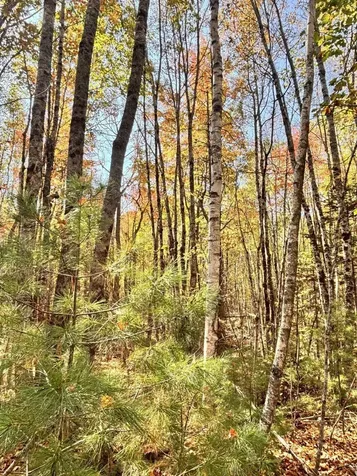 150 Bowden Point Road Prospect ME 04981