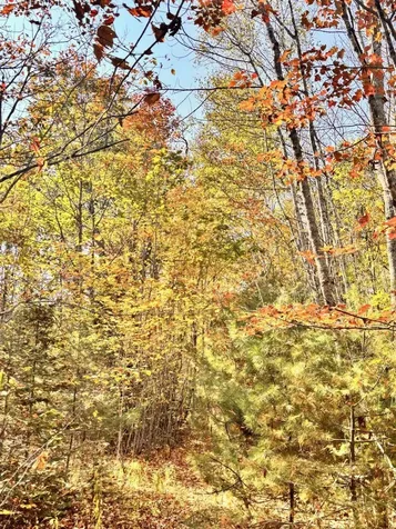 150 Bowden Point Road Prospect ME 04981
