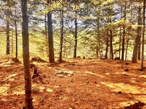 150 Bowden Point Road Prospect ME 04981