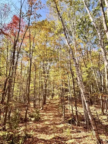 150 Bowden Point Road Prospect ME 04981