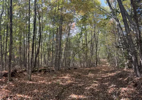 150 Bowden Point Road Prospect ME 04981