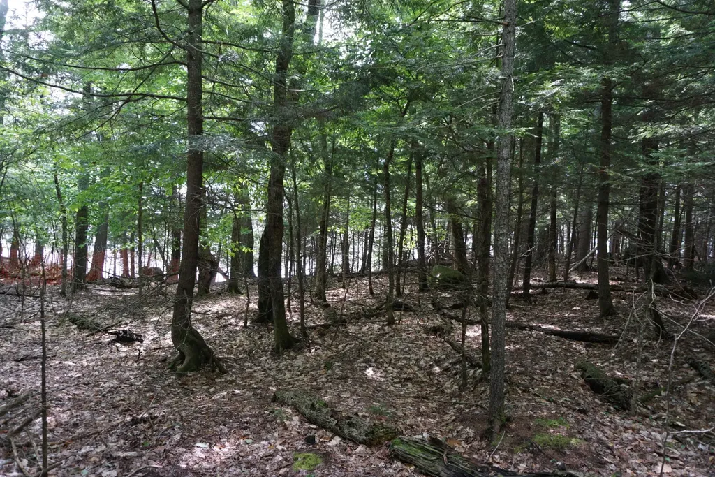 Lot 26 Black Point Road Beaver Cove ME 04441