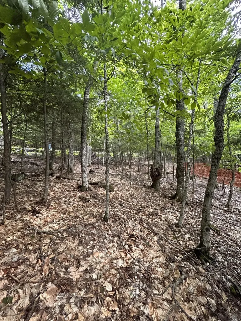 Lot 26 Black Point Road Beaver Cove ME 04441
