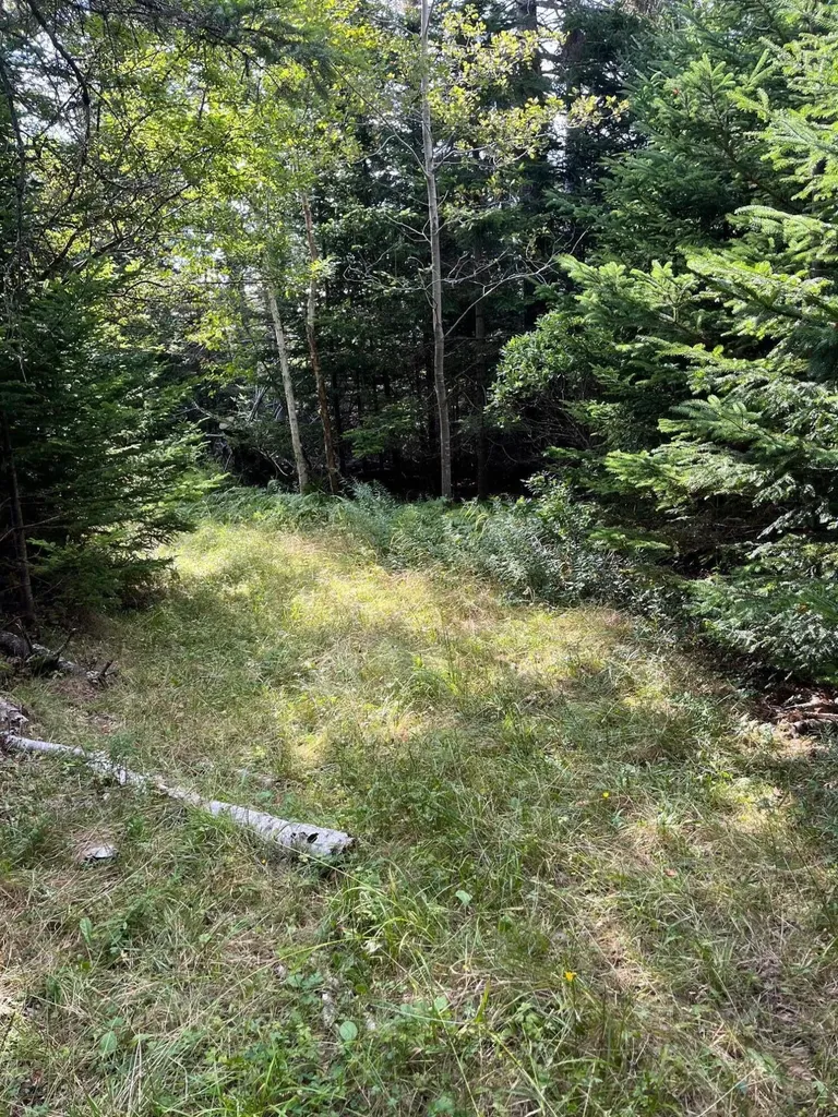 Lot #1 Southern Harbor Cove North Haven ME 04853