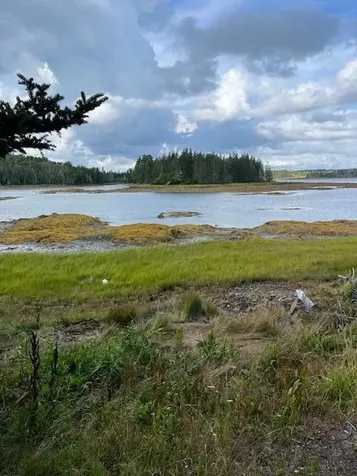 Lot #1 Southern Harbor Cove North Haven ME 04853
