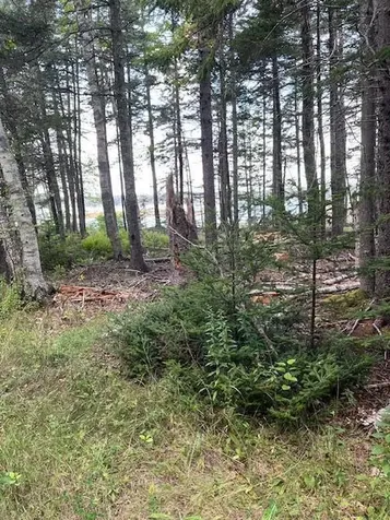 Lot #1 Southern Harbor Cove North Haven ME 04853