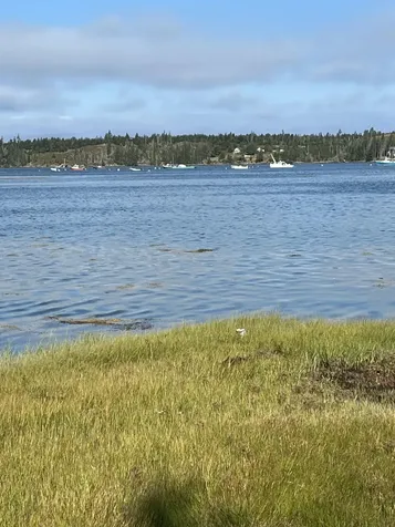 Lot #1 Southern Harbor Cove North Haven ME 04853