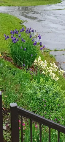 391 River Road Orrington ME 04474