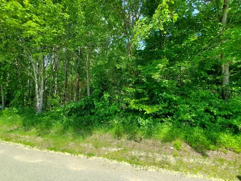 M 5 Lot 40 Morgan Road Burnham ME 04922