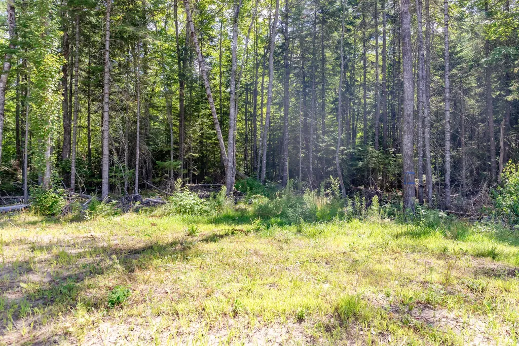 51 Fothingill Road Greenbush ME 04418