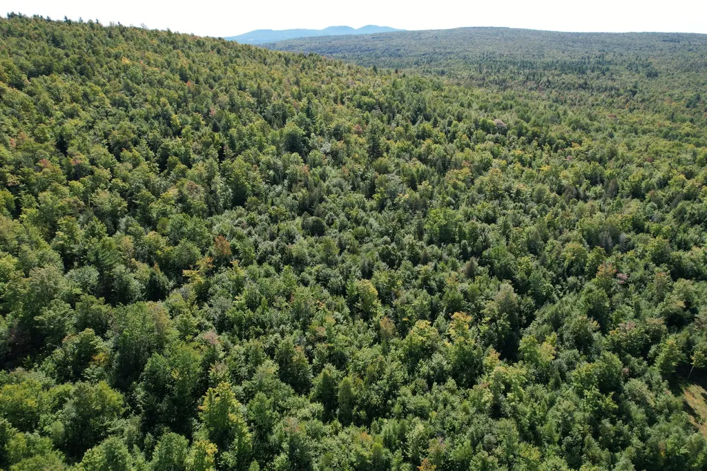 5 High Ground Road Freeman Twp ME 04947