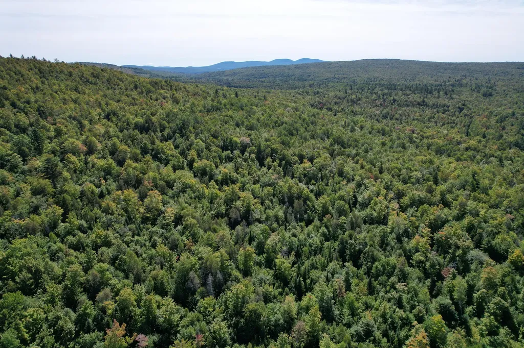 5 High Ground Road Freeman Twp ME 04947