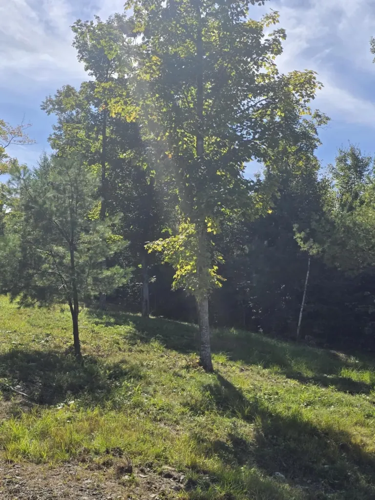 5 High Ground Road Freeman Twp ME 04947