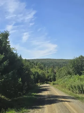 5 High Ground Road Freeman Twp ME 04947