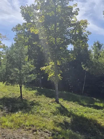 5 High Ground Road Freeman Twp ME 04947
