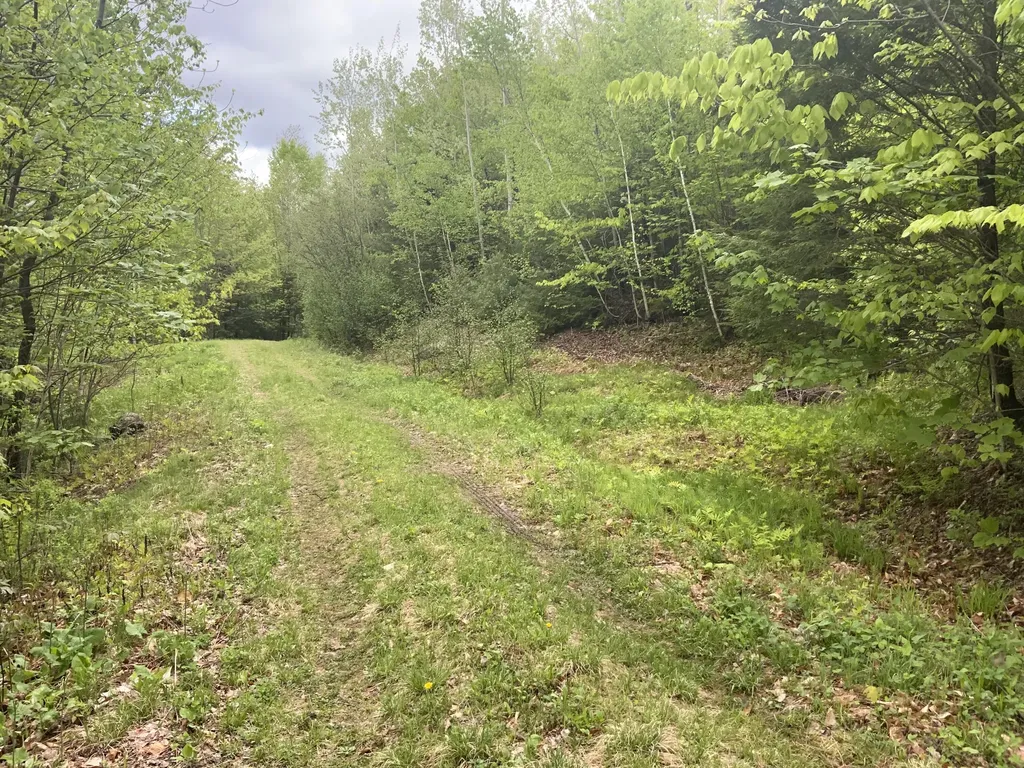 018-019 Bear Lane Rumford ME 04276