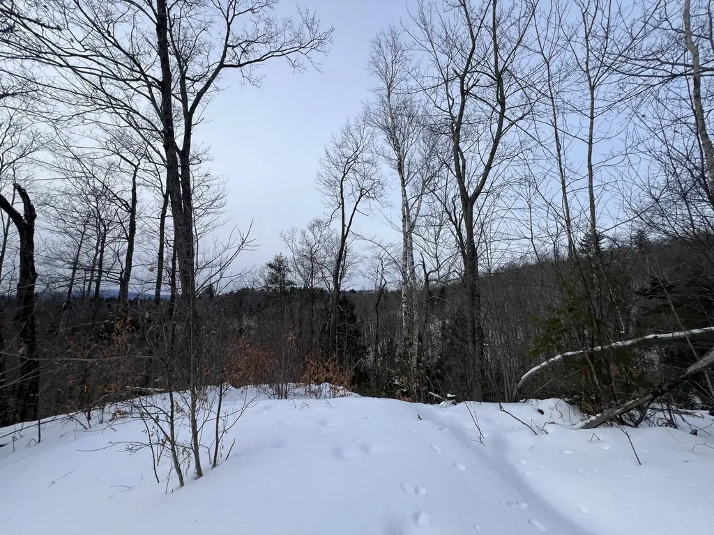 018 Bear Lane Rumford ME 04276