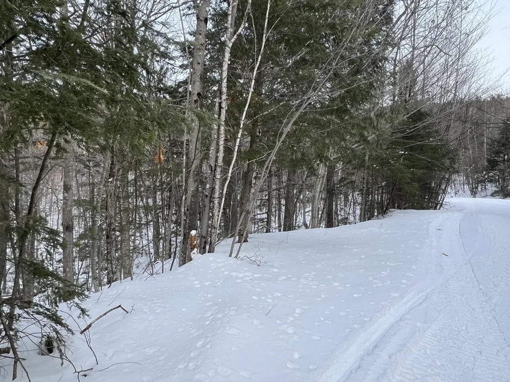 018 Bear Lane Rumford ME 04276