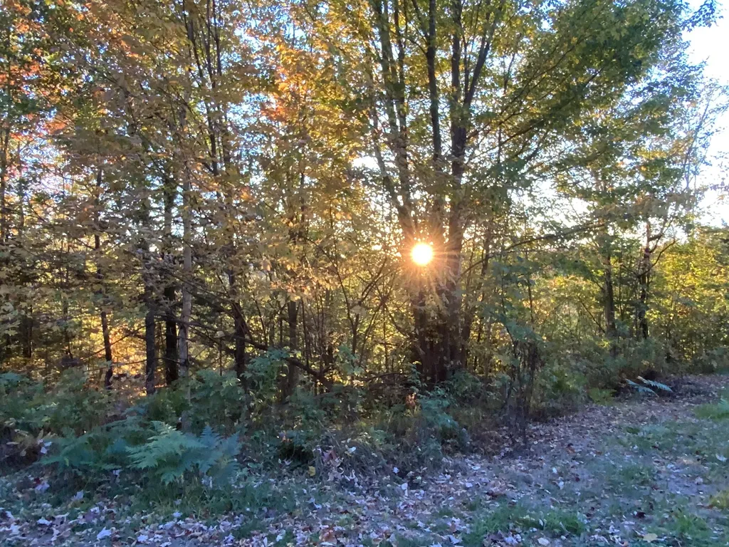 018 Bear Lane Rumford ME 04276