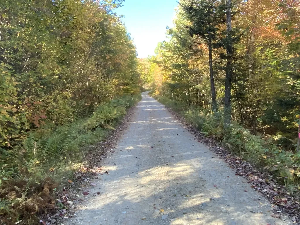 018 Bear Lane Rumford ME 04276