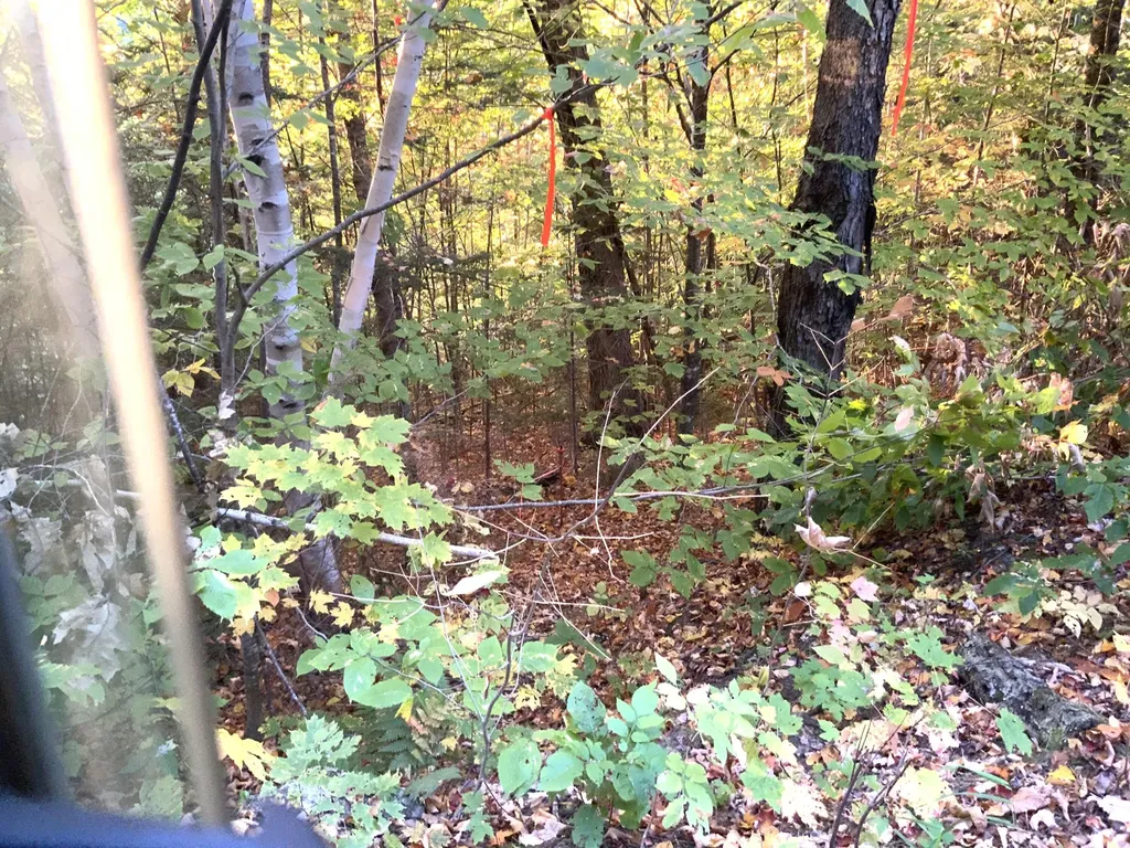 018 Bear Lane Rumford ME 04276