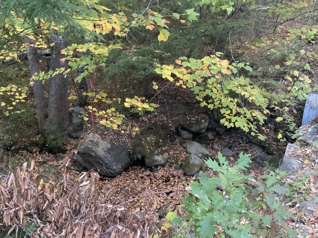 018 Bear Lane Rumford ME 04276