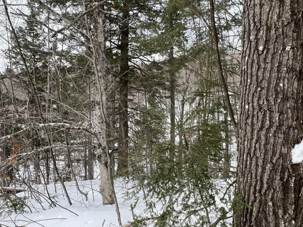 018 Bear Lane Rumford ME 04276