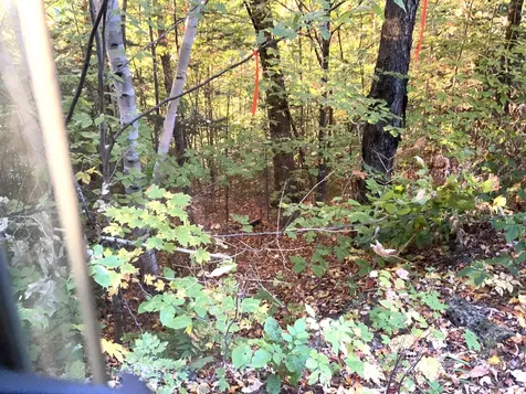 018 Bear Lane Rumford ME 04276