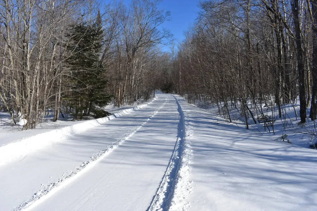 019 Upper Bear Lane Rumford ME 04276