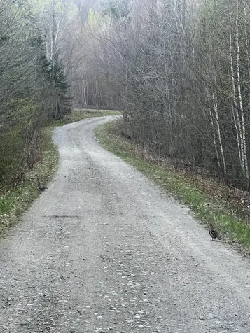 019 Upper Bear Lane Rumford ME 04276