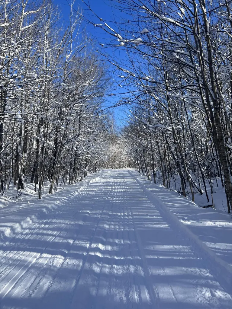 019 Bear Lane Rumford ME 04276