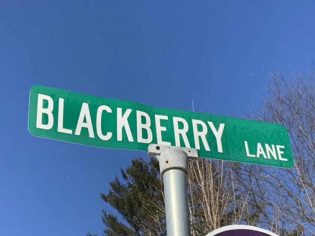 019 Bear Lane Rumford ME 04276