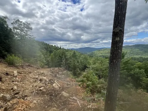 019 Bear Lane Rumford ME 04276