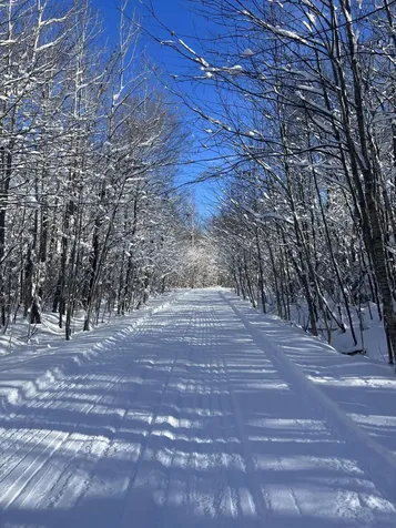 019 Bear Lane Rumford ME 04276