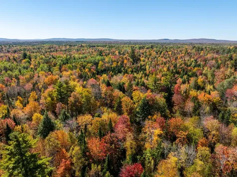 Tbd 22acre Us Route One Waite ME 04492
