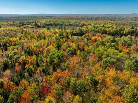 Tbd 22acre Us Route One Waite ME 04492