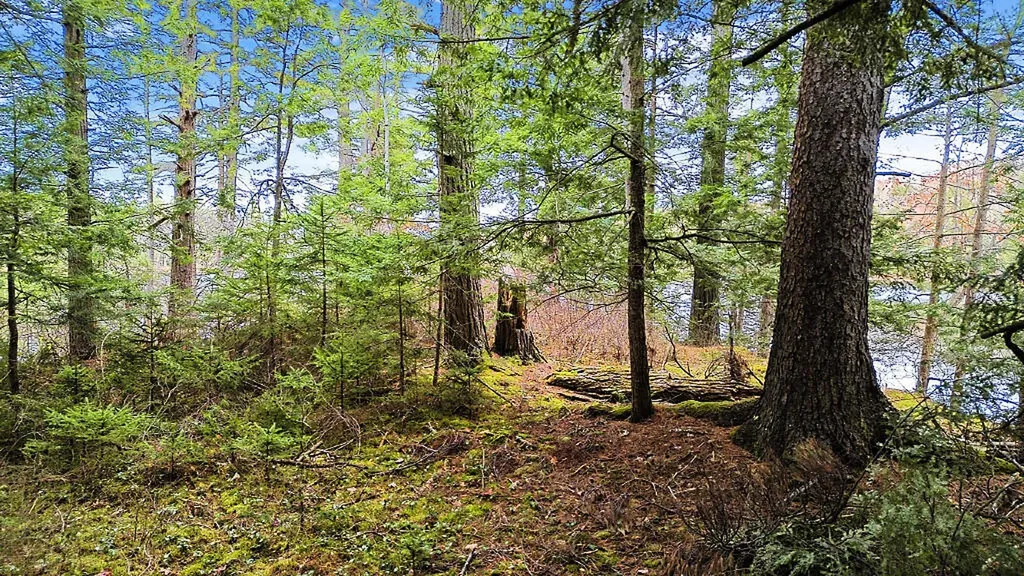 88 Piddock Lane Fayette ME 04349