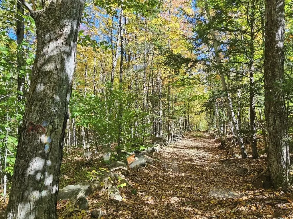 Tbd Temple Road Farmington ME 04938