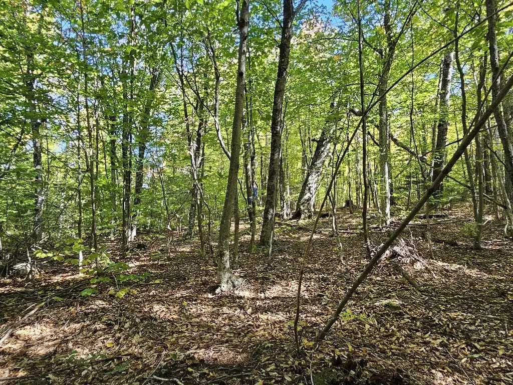 Tbd Temple Road Farmington ME 04938