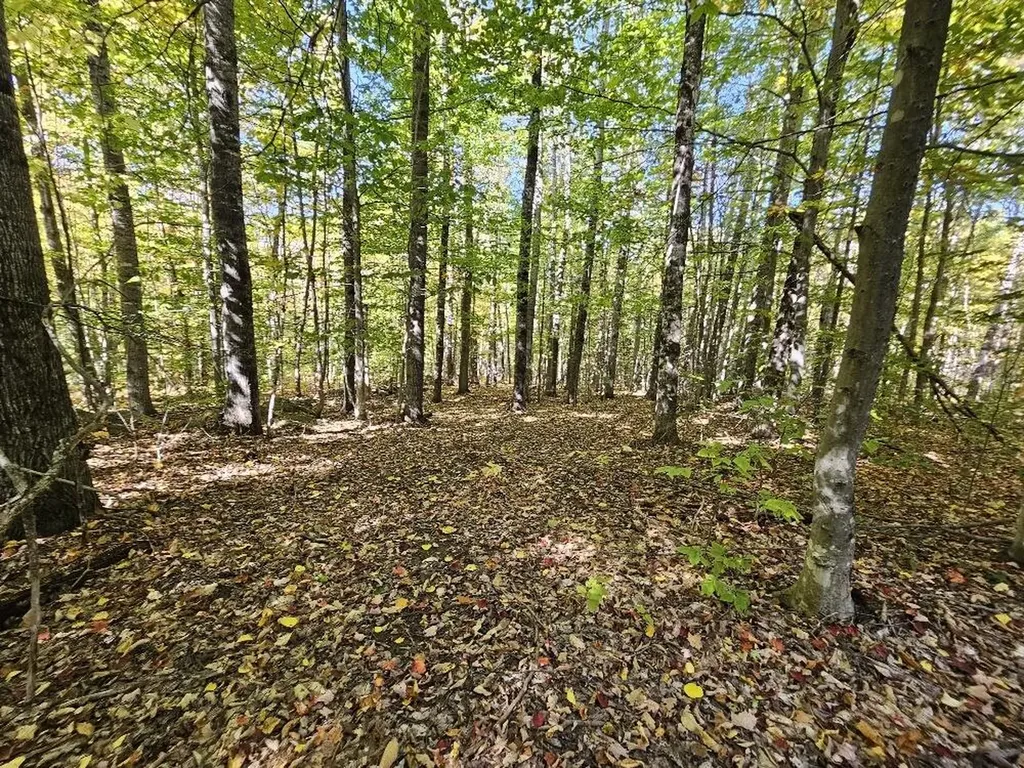 Tbd Temple Road Farmington ME 04938