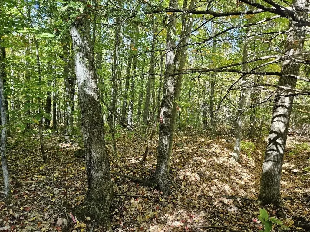 Tbd Temple Road Farmington ME 04938