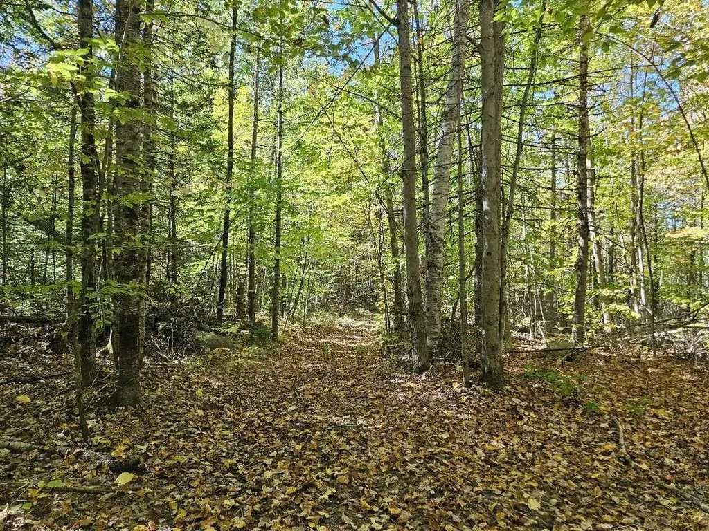 Tbd Temple Road Farmington ME 04938