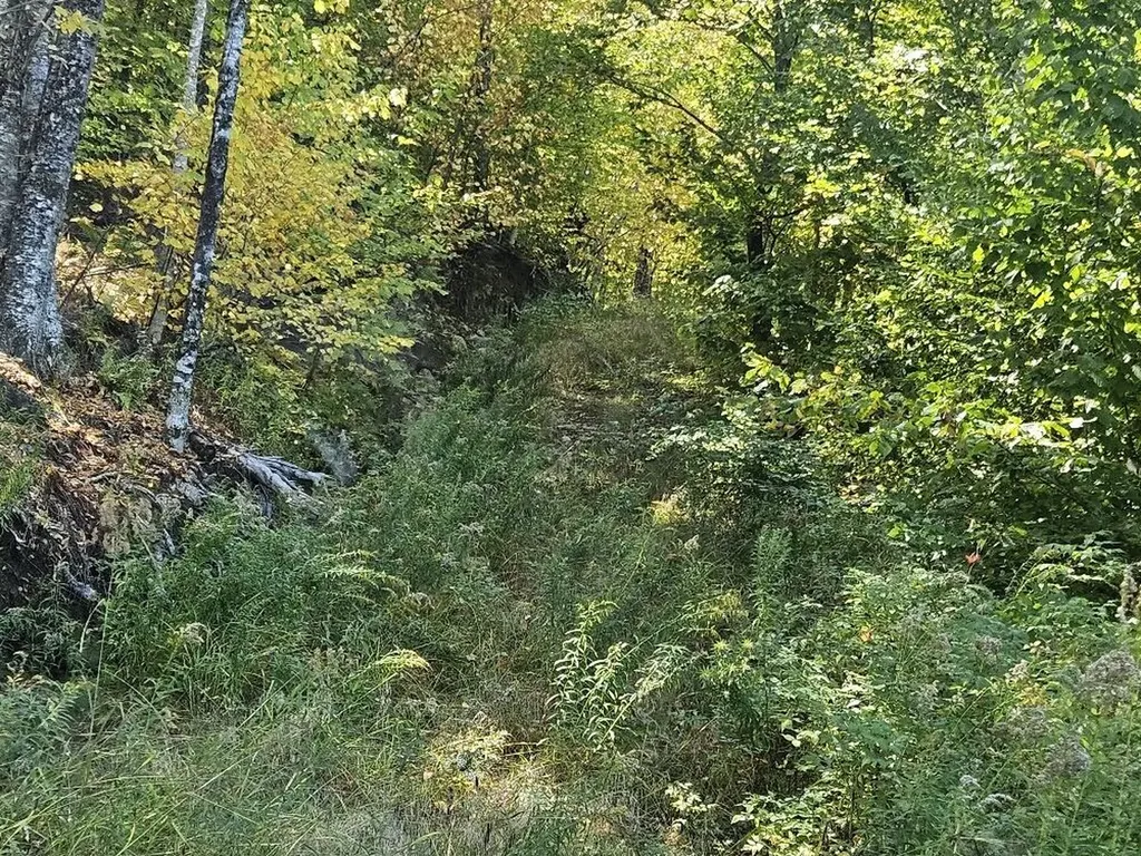 Tbd Temple Road Farmington ME 04938
