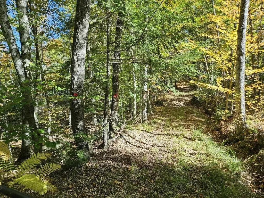 Tbd Temple Road Farmington ME 04938