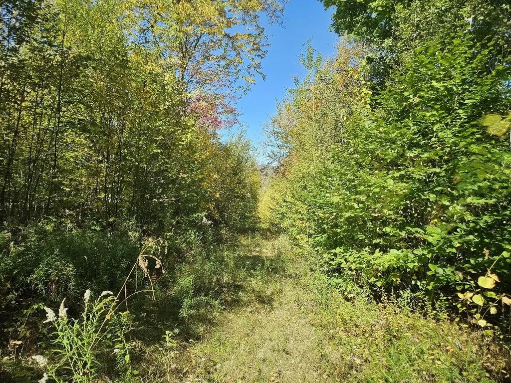 Tbd Temple Road Farmington ME 04938