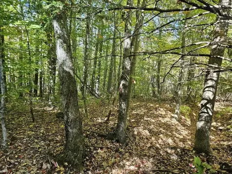 Tbd Temple Road Farmington ME 04938